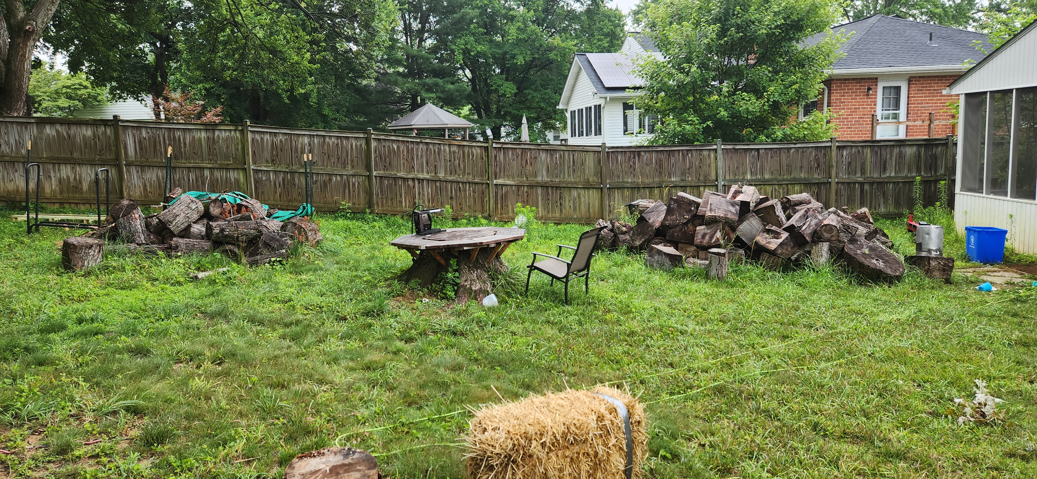 pile of logs